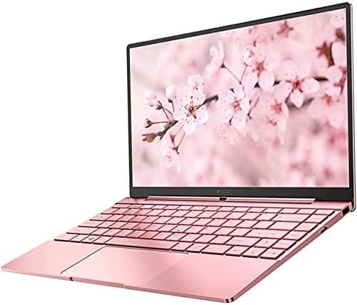 Daysky V14S PC Portatile, 14.1” FHD Computer Portatile, Celeron N5095, 12GB RAM, 512GB SSD, Windows 10, USB 3.0, Type C, Tastiera Retroilluminata, Corpo Interamente in Metallo(Rosa)