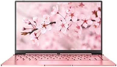 Daysky PC Portatile, V14S 14.1” FHD Computer Portatile, Celeron N5095, 12GB RAM, 256GB SSD, Windows 10, USB 3.0, Type C, Tastiera Retroilluminata, Corpo Interamente in Metallo(Rosa)