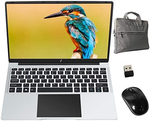 Notebook 14 Pollici 64 Go SSD Windows 10 PC Portatile Intel 6 GB RAM 1080 FHD BT USB HDMI, con Mouse Wireless e Adesivo Italiano, Argento